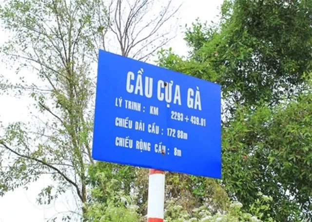 6-cay-cau-ten-doc-la-nhat-viet-nam-so-1-ai-di-ngang-cung-dung-lai-check-in-so-3-dan-ong-nghe-la-ren (711)