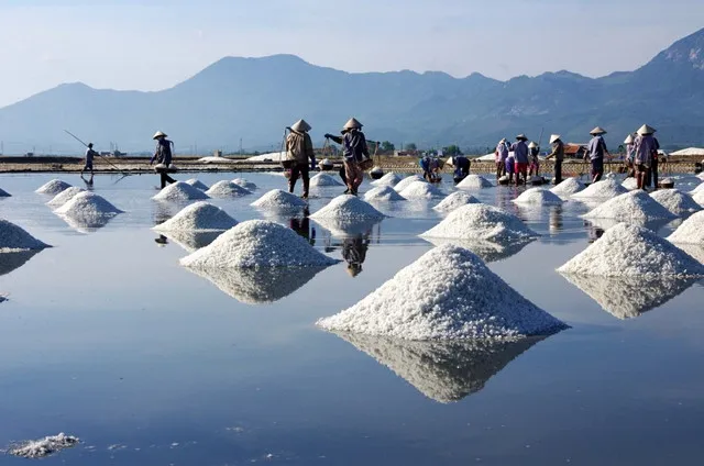 bai-bien-dac-biet-nhat-viet-nam-phat-hien-khao-co-nao-loan-the-gioi-khong-chi-dep-con-mang-gia-tri-lich-su (6)