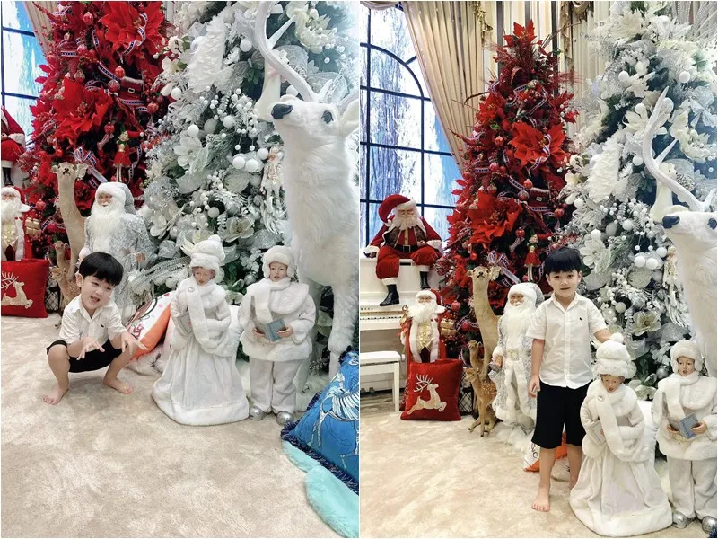 bien-nguoi-do-xo-den-biet-thu-nha-dam-vinh-hung-nam-ca-si-thao-2-cong-nha-con-trai-lac-loi (4)