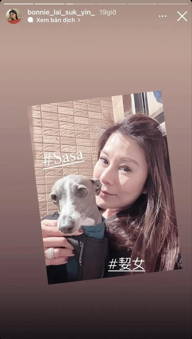 xot-xa-a-hau-phat-hien-qua-doi-tai-nha-rieng-dau-long-tin-nhan-gui-chong-nghi-van-nghi-uan (13)