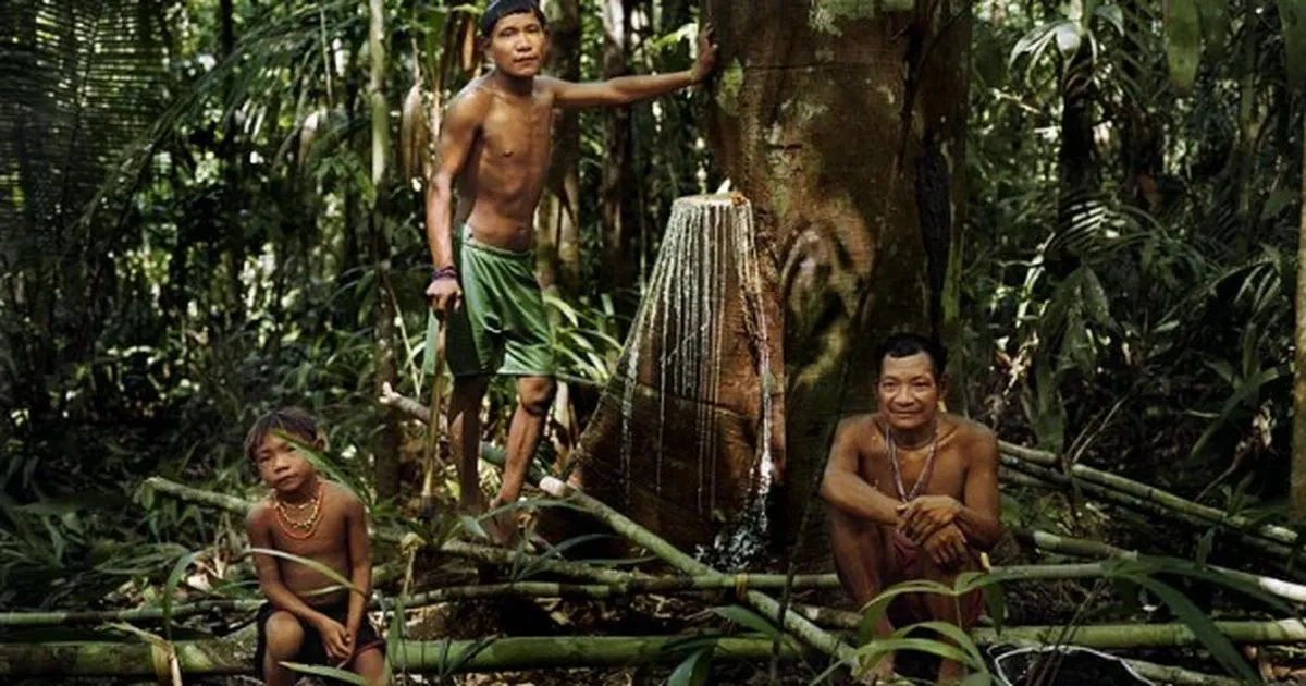 rung-minh-bo-toc-chi-ngu-20-phut-moi-ngay-tre-con-o-day-7-nam-se-thay-ten-mot-lan (6)