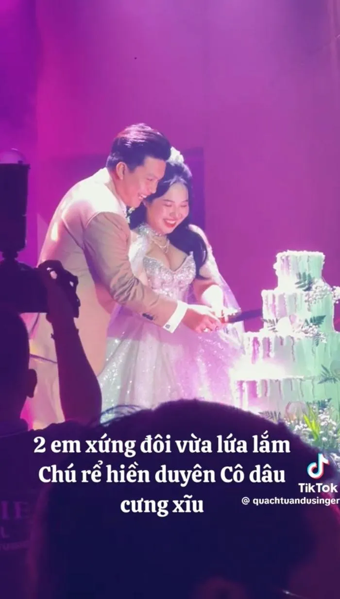 chu-nhat-loat-hit-trieu-view-cua-showbiz-viet-bi-mat-to-chuc-dam-cuoi-tuoi-24-khan-gia-qua-ngo-ngang (31)