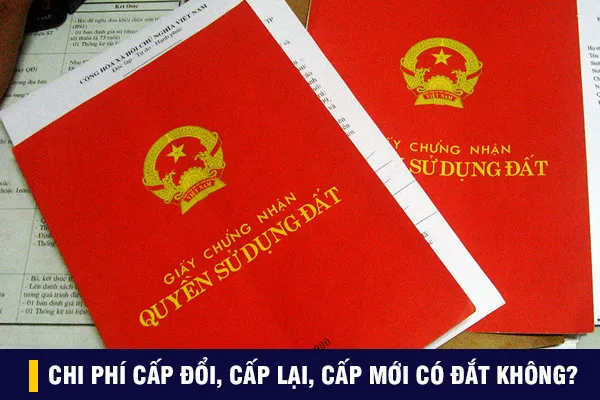 nam-2024-4-truong-hop-bat-buoc-di-doi-cap-lai-so-do-biet-som-de-dam-bao-quyen-loi-tranh-rui-ro