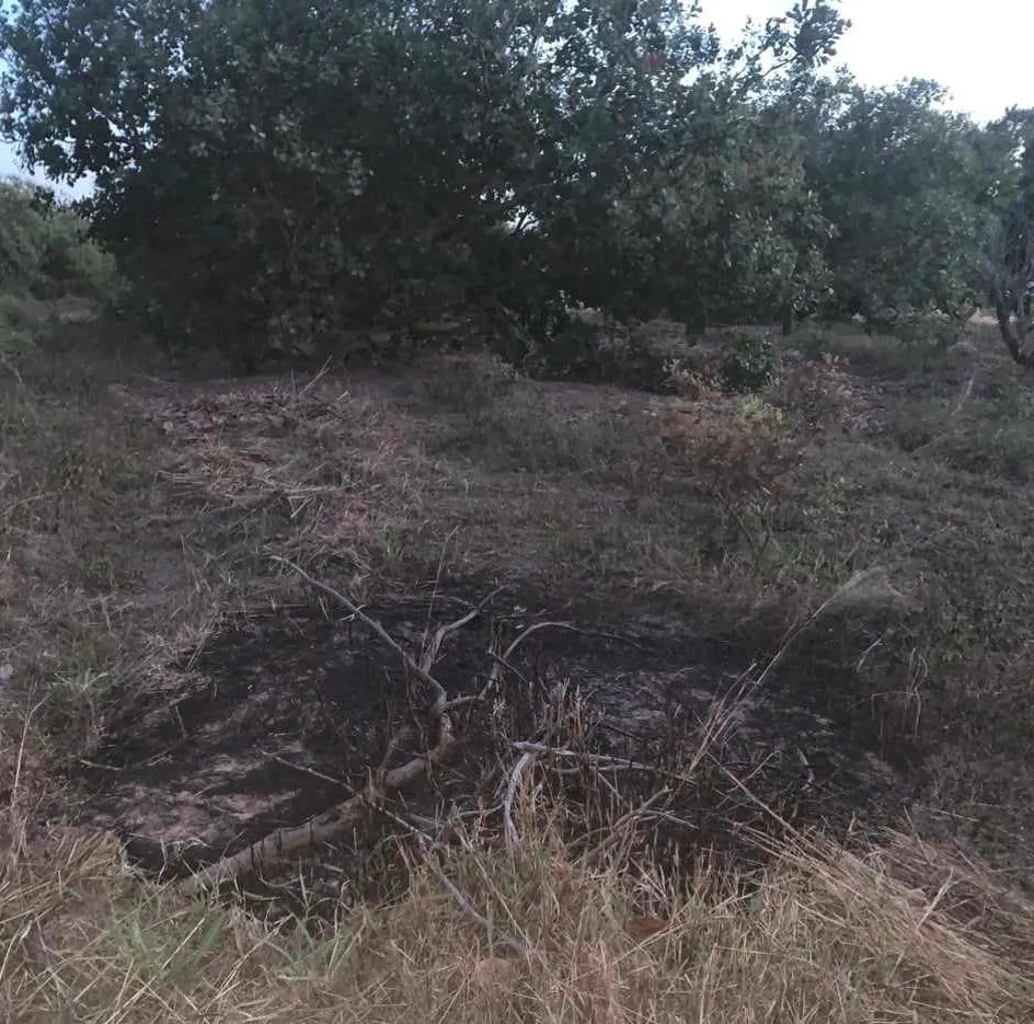 mat-dat-o-dak-lak-lien-tuc-boc-chay-ma-khong-co-su-tac-dong-tu-con-nguoi-khien-nguoi-dan-xon-xao (2)