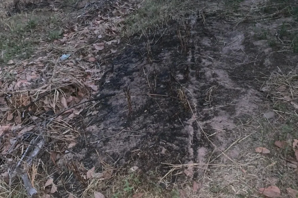 mat-dat-o-dak-lak-lien-tuc-boc-chay-ma-khong-co-su-tac-dong-tu-con-nguoi-khien-nguoi-dan-xon-xao (4)