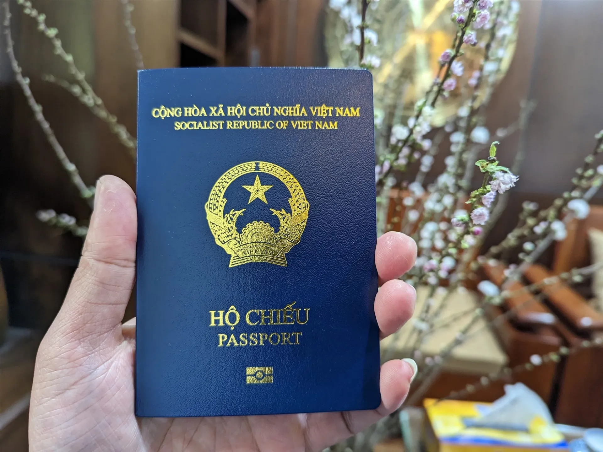 nam-2024-khong-can-xin-visa-ho-chieu-viet-nam-di-duoc-nhung-quoc-gia-nao (2)