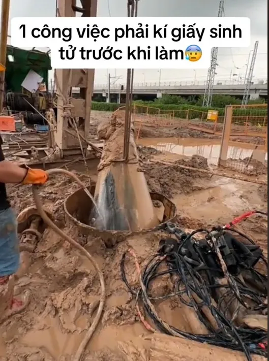 rung-minh-cong-viec-co-thu-nhap-40-50-trieu-dong-mot-lan-doi-lai-phai-ky-giay-sinh-tu-truoc-khi-thuc-hien (19)