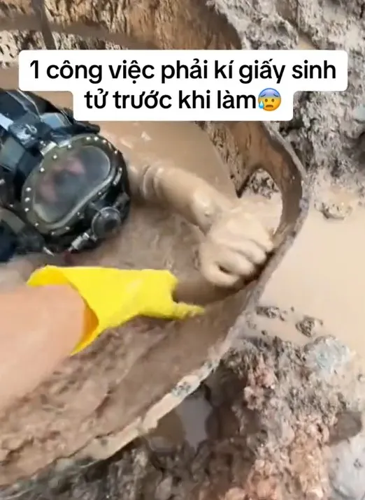 rung-minh-cong-viec-co-thu-nhap-40-50-trieu-dong-mot-lan-doi-lai-phai-ky-giay-sinh-tu-truoc-khi-thuc-hien (4)