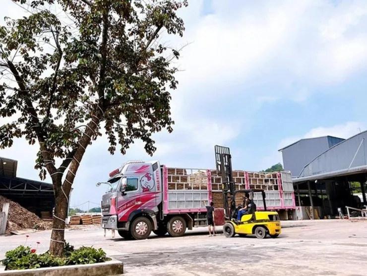 xe-container-cua-nu-tiktoker-bi-bat-gap-gay-tai-nan-tren-duong-quoc-lo-chinh-chu-ke-ro-su-tinh (61)