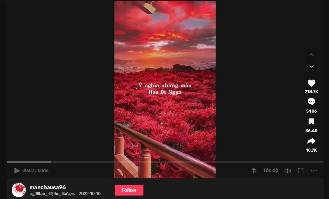 tren-hoa-bi-ngan-hot-ran-ran-mxh-bat-nguon-tu-dau-netizen-to-mo-danh-tinh-nguoi-khoi-mau-trao-luu-nay (9)