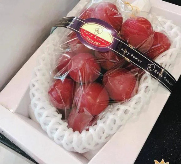 4-loai-qua-dat-den-kho-tin-90%-nguoi-dan-chua-bao-gio-an-duoc-mot-qua-co-gia-ngang-xe-mercedes-2-ty-dong (22)