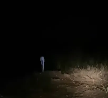 di-khuya-thay-doi-chan-lo-lung-cap-vo-chong-bam-bung-lai-xem-thi-toat-mo-hoi-hot-truoc-canh-tuong (2)