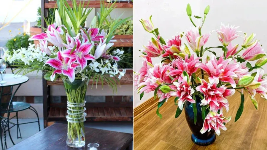 de-hoa-ly-tuoi-tan-suot-dip-tet-tranh-su-dung-nuoc-la-them-vai-giot-nay-hoa-ly-ben-mau-giu-duoc-nua-thang (5)