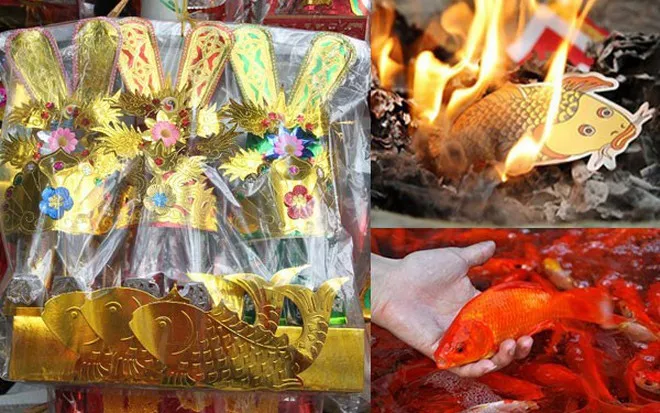 cung-ong-cong-ong-tao-nen-dung-ca-chep-nao-moi-dung-ca-chin-ca-song-hay-ca-chep-giay-mua-bao-nhieu-con (6)