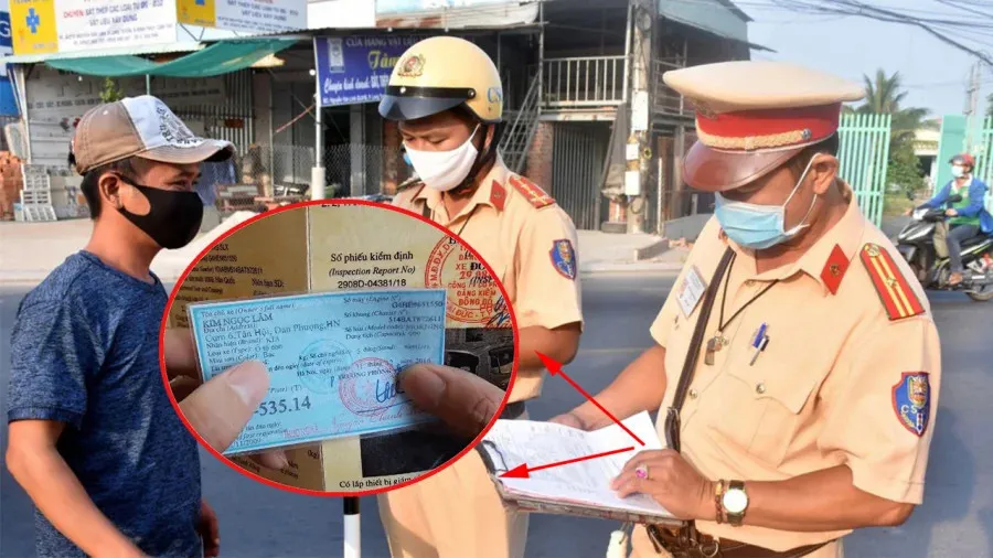 8-truong-hop-bi-thu-hoi-ca-vet-xe-trong-nam-2024-nguoi-dan-luu-y-keo-bi-phat-tien (3)