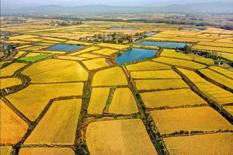 nam-2024-ai-co-2-giay-to-nay-xay-nha-tren-dat-nong-nghiep-khong-bi-xu-phat-khong-biet-qua-thiet-thoi (4)