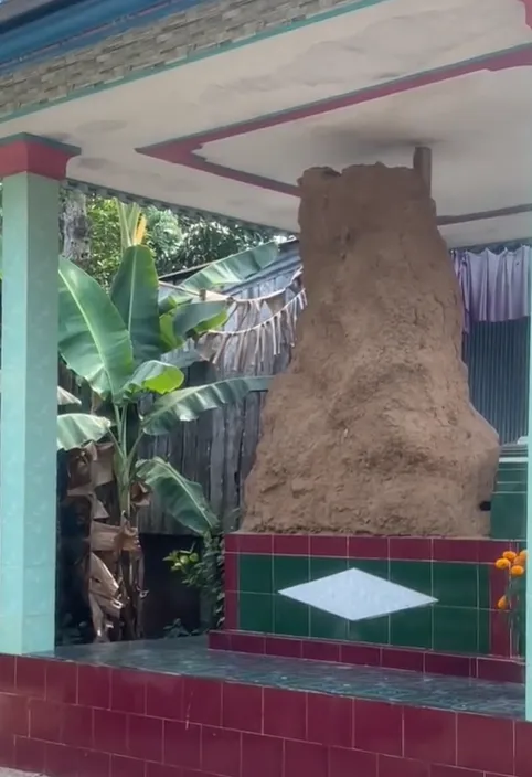 thay-mo-nguoi-than-xuat-hien-hien-tuong-la-co-con-gi-ben-tren-chang-trai-dang-len-hoi-thi-duoc-chuc-mung (1)