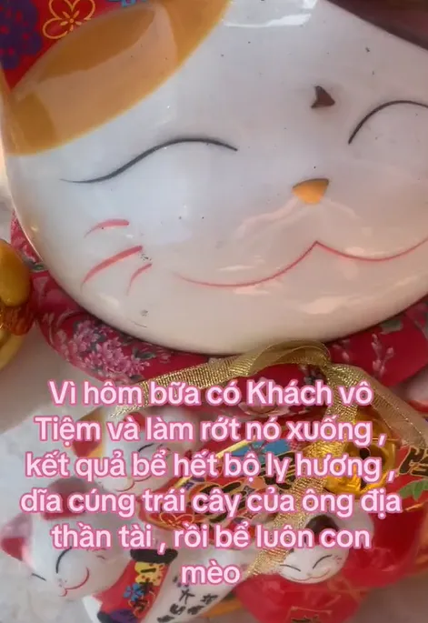 lam-an-e-am-chang-trai-dap-vo-meo-than-tai-truoc-cua-tiem-va-cau-chuyen-bat-ngo-dang-sau (5)