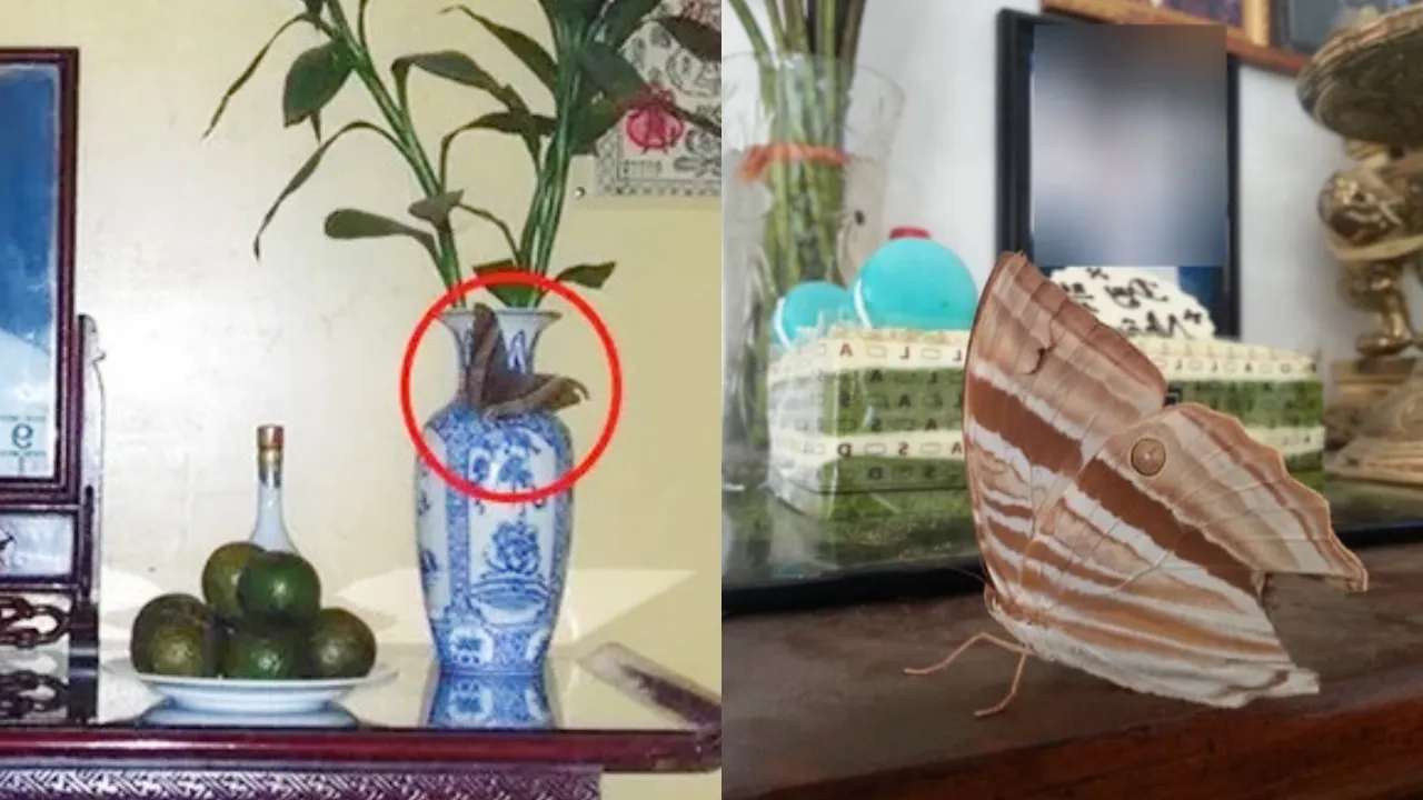 dung-3-mung-tet-ban-tho-xuat-hien-3-dau-hieu-nay-gia-chu-lam-an-phat-dat-loc-la-ca-nam (1)