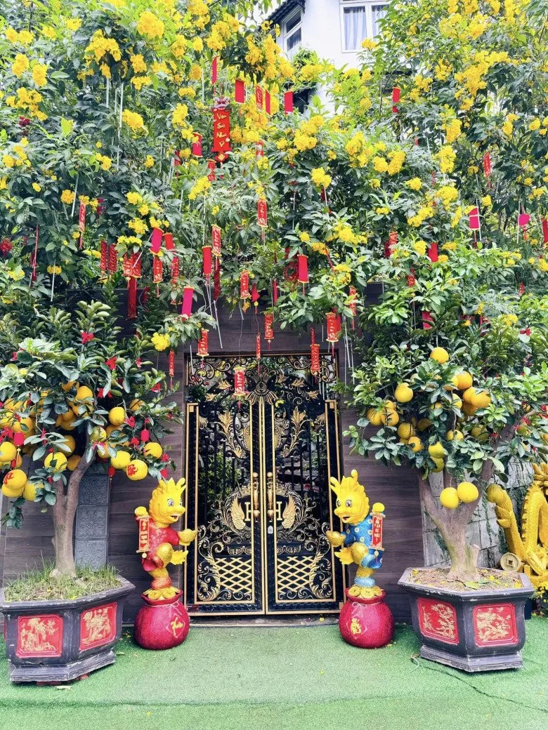 sao-viet-dat-vang-biet-thu-son-nam-moi-dam-vinh-hung-trung-rong-vang-co-ngoi-60-ty-sao-nu-phu-anh-kim (3)