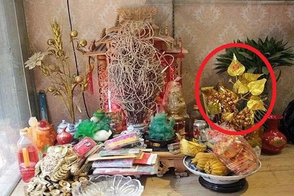 qua-tet-3-thu-tren-ban-tho-can-dem-xuong-gap-cang-de-lau-mat-het-tai-loc (12)