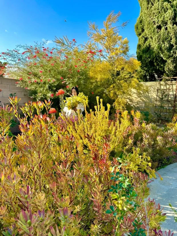 can-canh-biet-thu-o-troi-tay-cua-phu-ba-phim-mai-hoanh-trang-nhu-resort-gio-may-la-co-anh-song-ao (5)