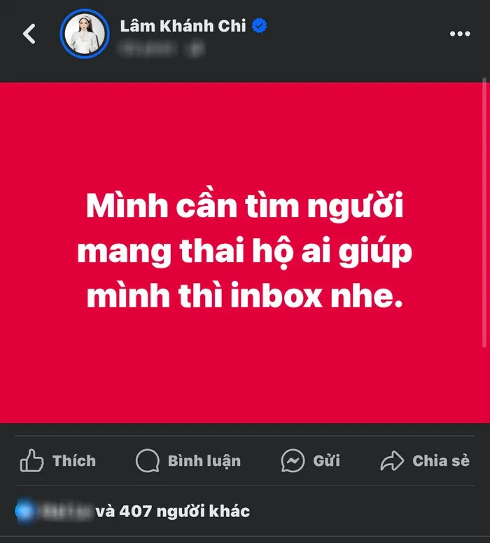 lam-khanh-chi-dang-thong-tin-tim-nguoi-mang-thai-ho-lan-2 (5)