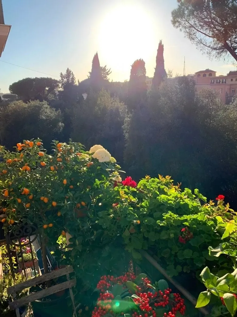 hoa-hau-giau-nhat-viet-nam-so-huu-biet-thu-dat-vang-24K-tau-villa-den-nha-vuon-10000m2-o-nuoc-ngoai (2224)