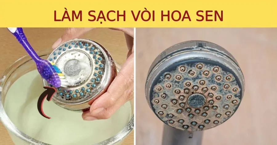 voi-sen-xai-lau-nuoc-yeu-thay-vi-mua-moi-ap-dung-cach-nay-voi-phun-deu-nhu-moi (111)