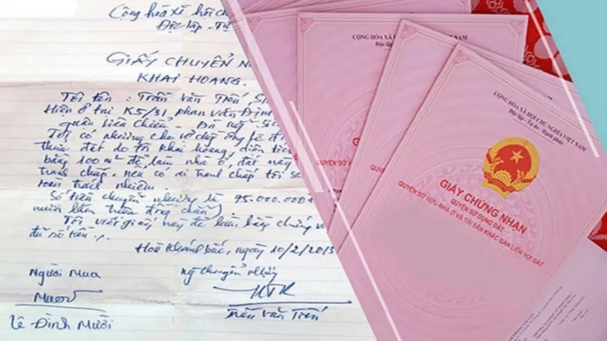 nam-2024-mua-ban-giay-to-dat-viet-tay-co-hop-phap-lo-mua-nha-giay-viet-tay-co-duoc-cap-so-do (21)