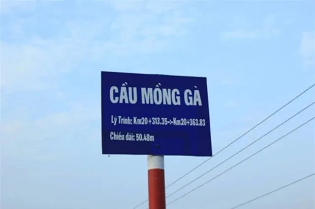 6-cay-cau-co-ten-bap-dao-nhat-viet-nam-so-1-phu-nu-nghe-do-mat-so-3-dan-ong-khoc-xin-tha (13)