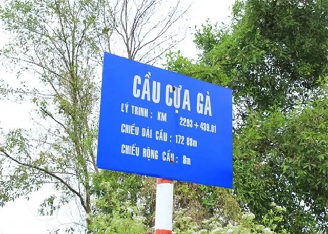 6-cay-cau-co-ten-bap-dao-nhat-viet-nam-so-1-phu-nu-nghe-do-mat-so-3-dan-ong-khoc-xin-tha (31)