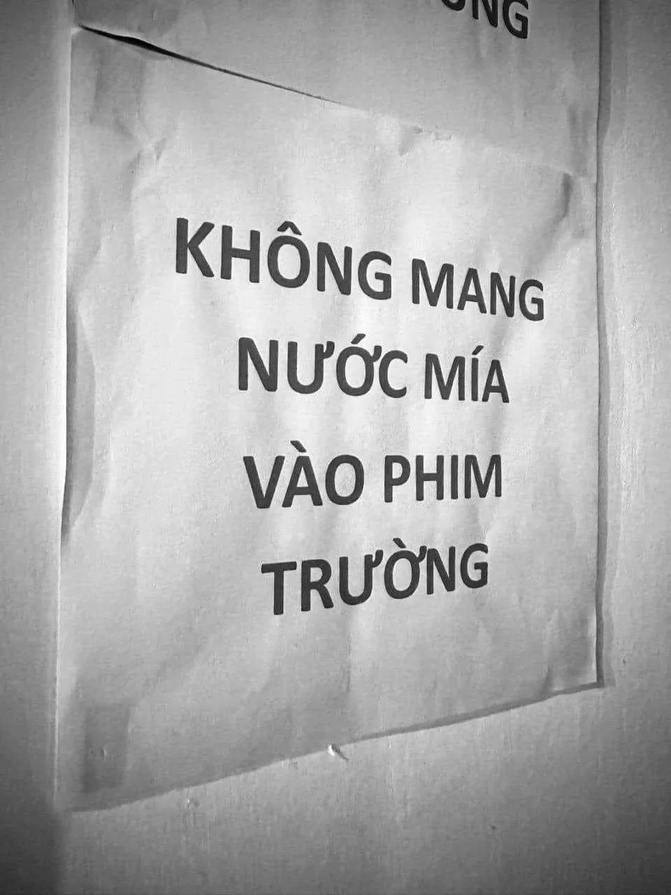 nuoc-mia-la-do-uong-cam-ky-cua-gioi-nghe-si-co-cho-vang-cung-khong-dam-uong (1)
