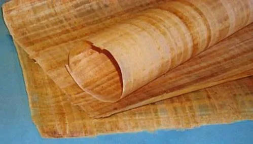 tu-hi-thai-hau-bat-cung-nu-ngam-nuoc-trong-luc-ba-di-ve-sinh (5)