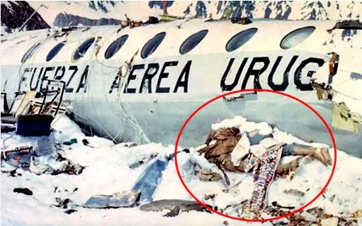 rung-minh-vu-may-bay-roi-giua-day-nui-30-nguoi-phai-an-lan-nhau-de-sinh-ton (1)