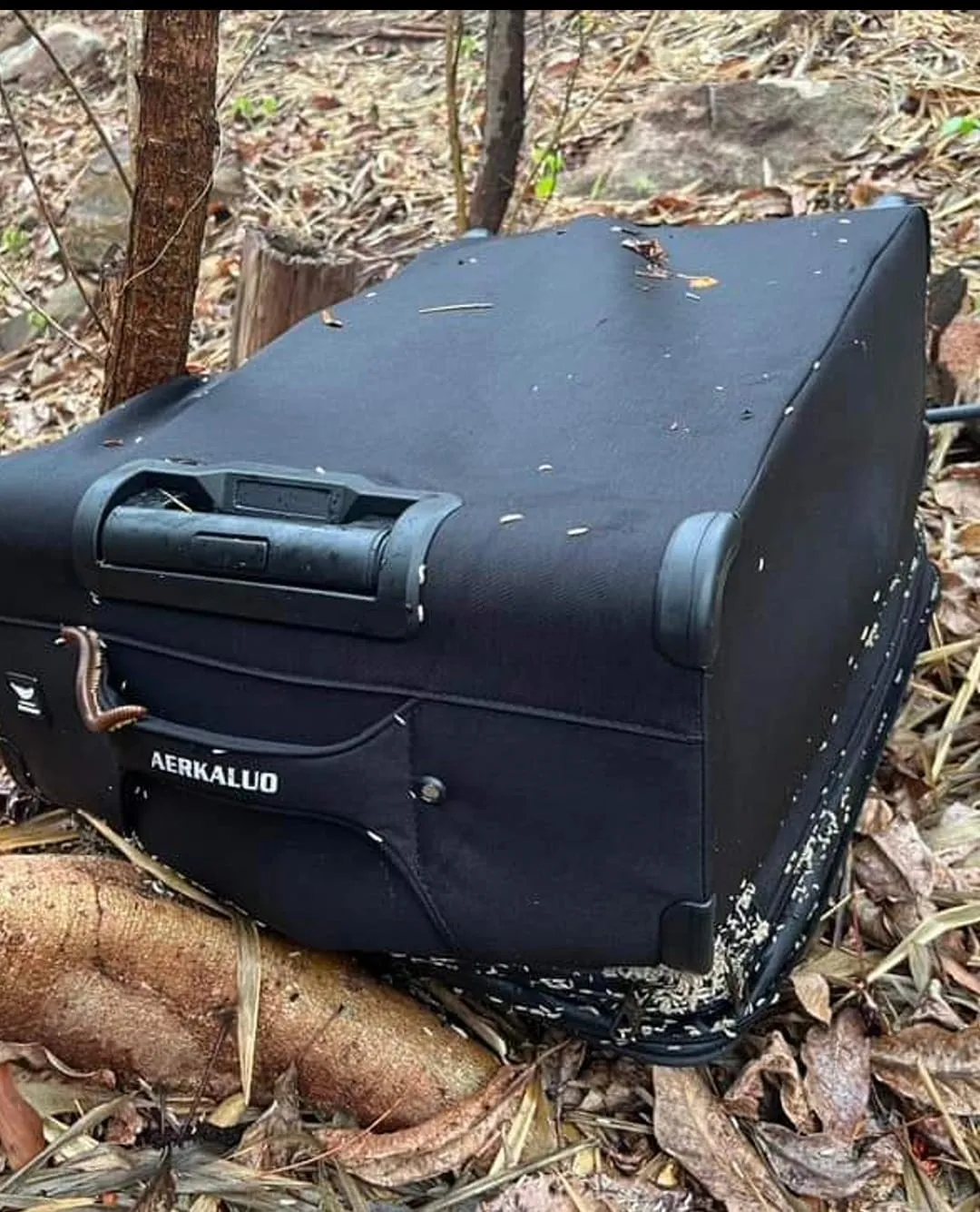 nguoi-dan-vung-tau-ta-hoa-phat-hien-vali-la-chua-co-gai-ben-trong (2)