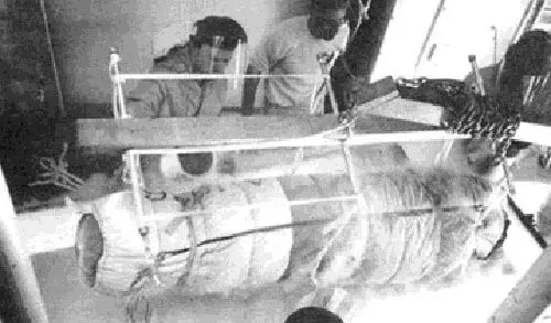 ty-phu-tu-nguyen-dong-bang-co-the-50-nam-cho-hoi-sinh-ket-qua-ra-sao (5)