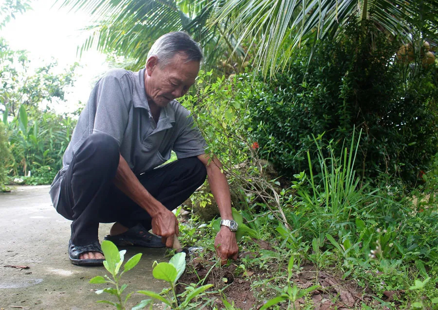 nguoi-dan-ong-can-tho-tro-ve-tu-cua-tu-bong-het-mu-het-cam (2)