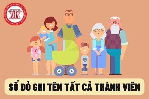 so-do-co-ten-tat-ca-cac-thanh-vien-co-ten-quyen-su-dung-dat-tu-1-1-2025 (11)