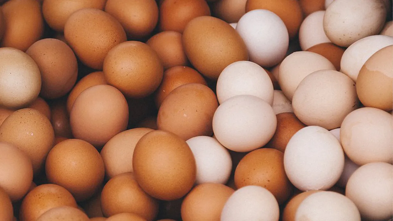 trung-ga-vo-nau-hay-trung-ga-vo-trang-se-bo-duong-hon (9)