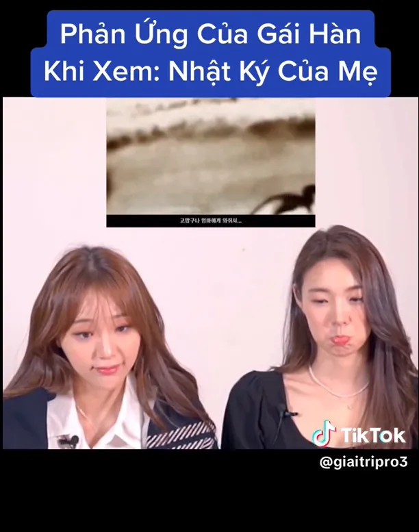 bai-hat-viet-khuynh-dao-the-gioi-khien-khan-gia-nuoc-ngoai-bat-khoc-khi-nghe (1)