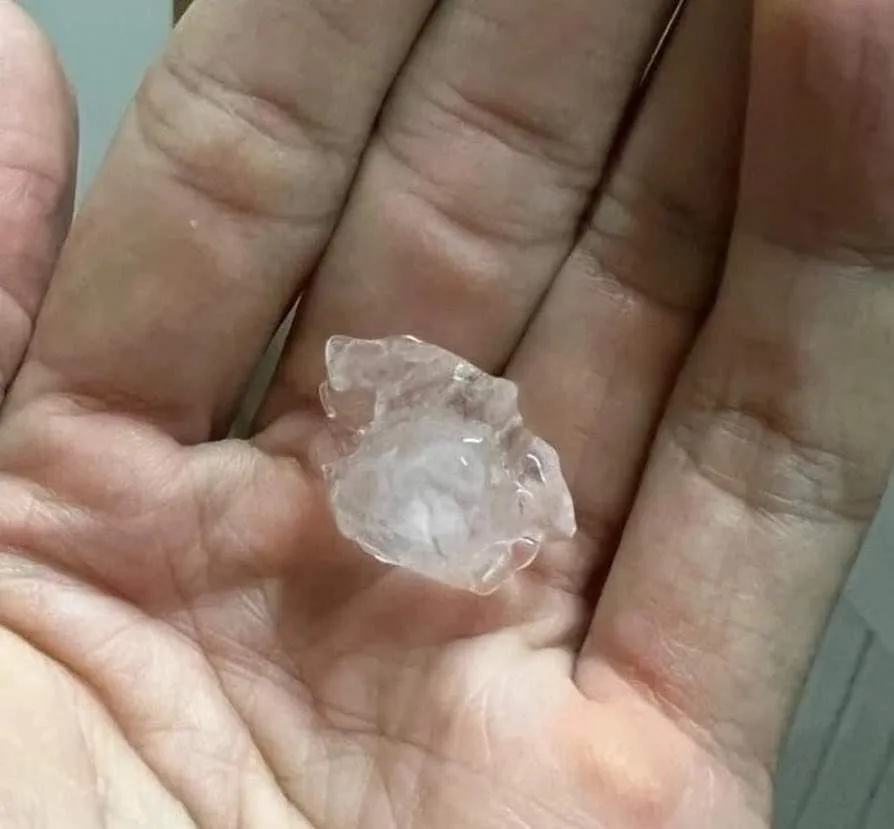 mua-da-xuat-hien-bat-thuong-tai-tphcm-nguyen-nhan-do-dau (41)