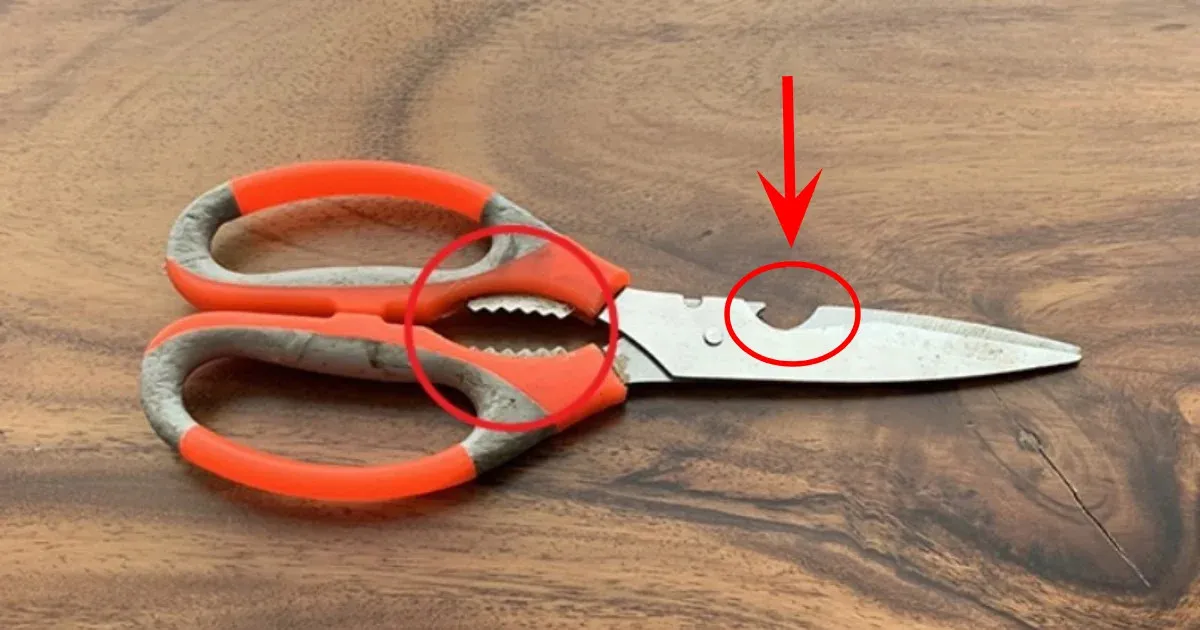 lo-rang-cua-lo-khuyet-tren-keo-co-cong-dung-dac-biet-ma-it-nguoi-biet (4)