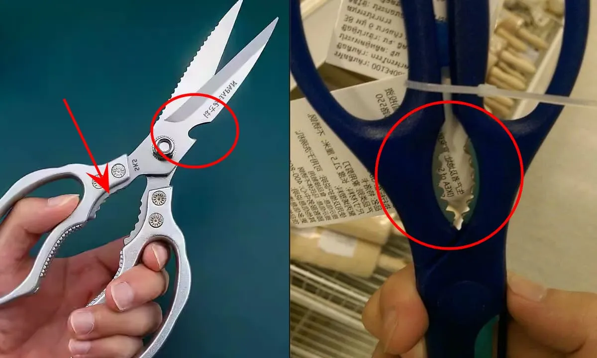 lo-rang-cua-lo-khuyet-tren-keo-co-cong-dung-dac-biet-ma-it-nguoi-biet (6)