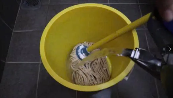 meo-ve-sinh-cay-lau-nha