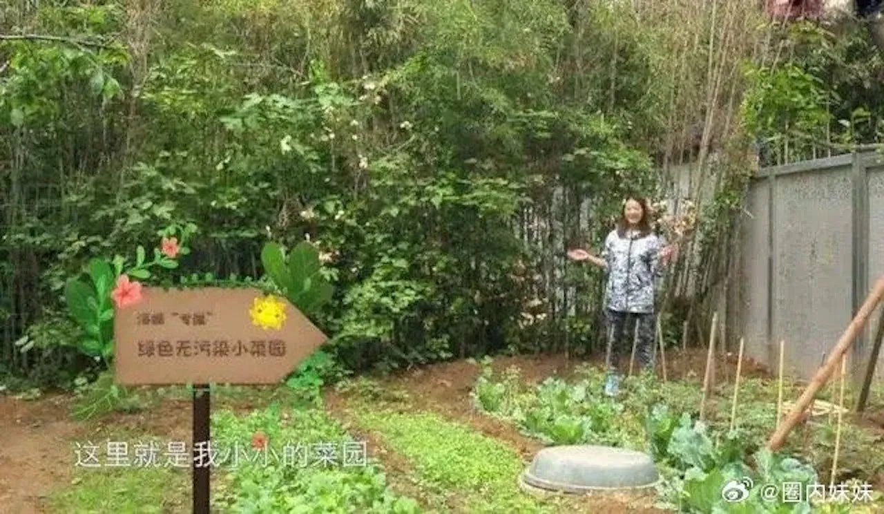 Biet thu Chau Hai My 1