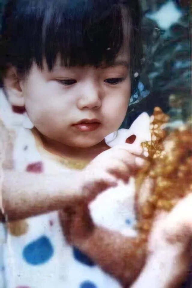 337294353_1137686210245105_3302203555584902543_n