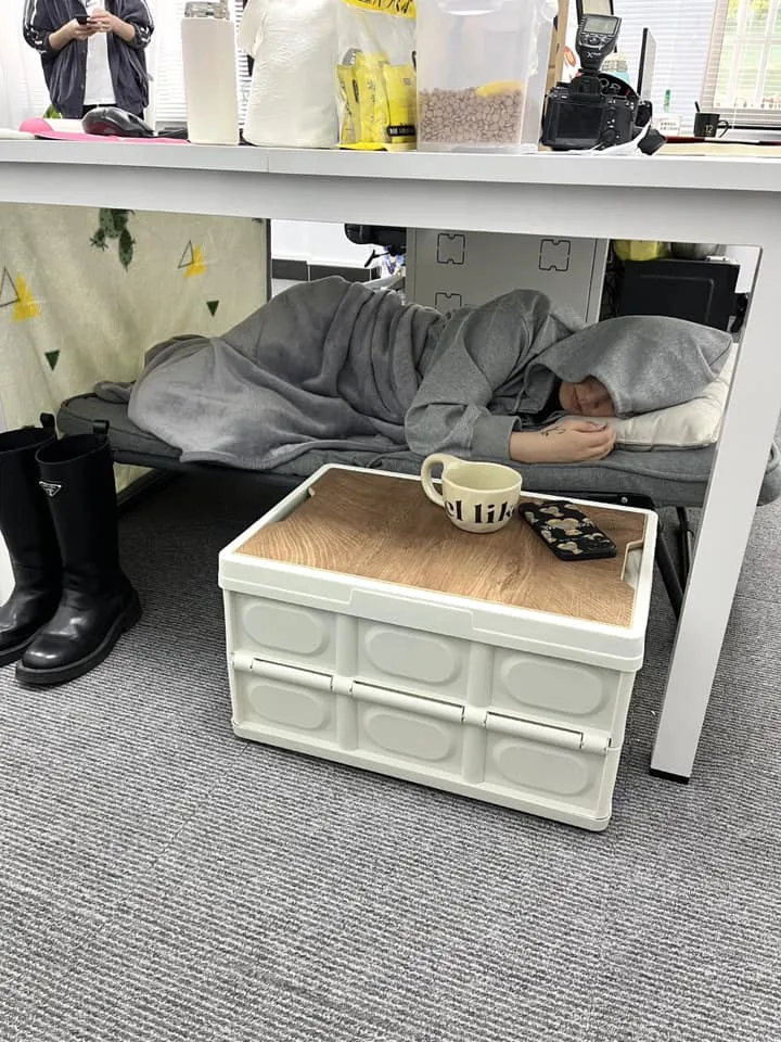 344414367_187665844193974_621509738160357107_n