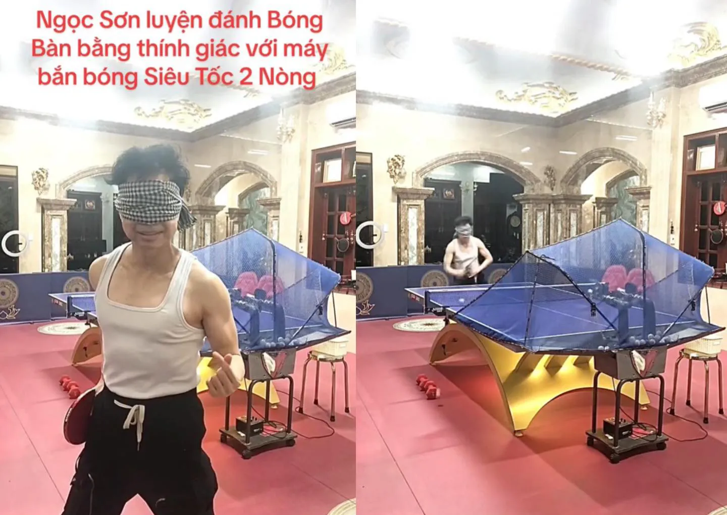 350031769_166331322865381_1424561487180596825_n