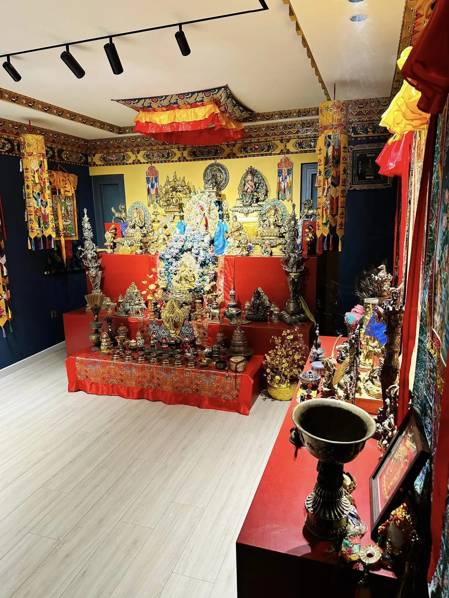 348607363_6665130203499915_7006455987617030741_n